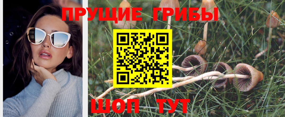 Реж  Галлюциногенные грибы Psilocybe  Вход с VPN 